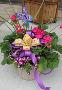 Small Porch Box Blooming LOCAL DELIVERY ONLY