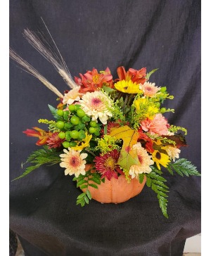 Small pumpking arrangement Fall Flowers