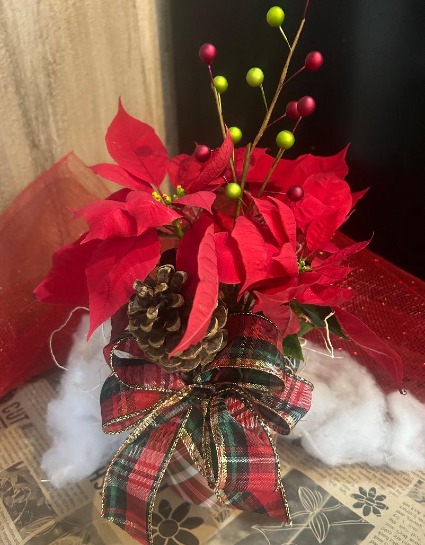 Small Red Poinsettia in a Plaid Tin Bucket Plant
