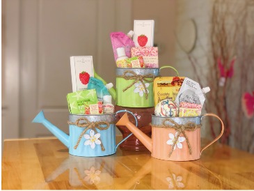 Small Spring Gift Basket in Watering Can Gift Basket in Morehead City, NC | Sandy's Flower Shoppe