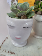 Small Succulent Head planter 