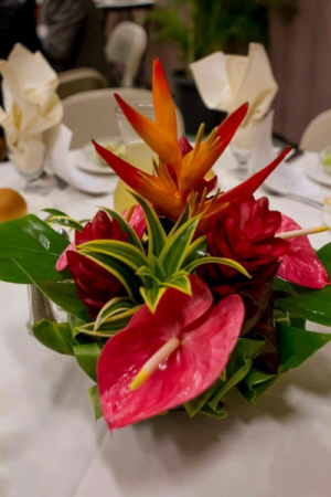 SMALL TROPICAL tropical arrangement in Kahuku, HI | North Shore Weddings & Flowers