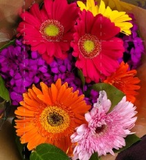 Gerbera Daisy Handheld  Bouquet (Pick-up Only)