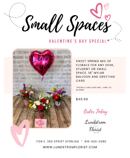 SMALLER SPACES VALENTINE'S DAY SPECIAL 