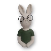 Smart Bunny Gift