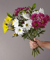 Smiling Daisies  Wrapped Cut Flower Bouquet