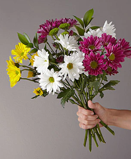 Smiling Daisies  Wrapped Cut Flower Bouquet