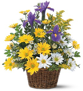 Smiling Floral Basket - 581  Arrangement 