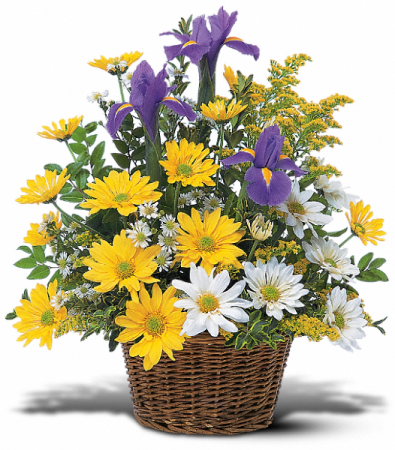 Smiling Floral Basket HF81