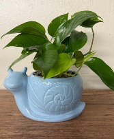 Snail Planter 