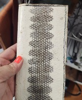 Snakeskin Leather Billfold gift