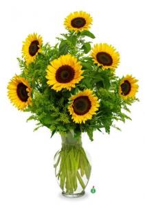 Snazzy Sunflowers  