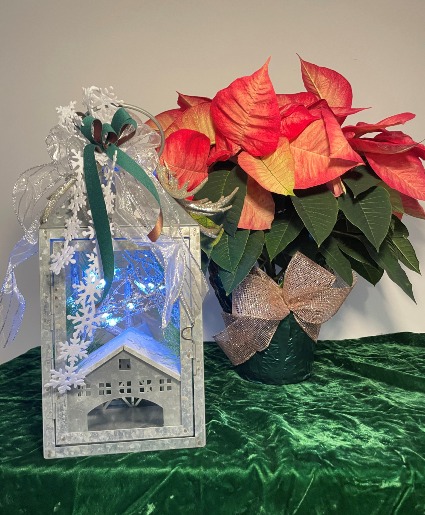 Snow Flake Barn Lantern & Pointsettia Christmas Arrangement