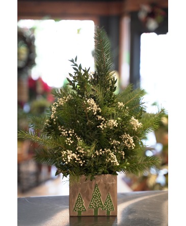 Snow Kissed  Table Top Christmas Tree in South Milwaukee, WI | PARKWAY FLORAL INC.