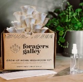 Snow Oyster Mushroom Kit