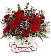 Teleflora's Snow What Fun Bouquet Christmas