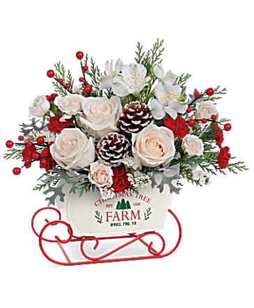 Snow What Fun! Holiday Sleigh Arrangement in Warrington, PA | ANGEL ROSE FLORIST INC. Snow What Fun! Holiday Sleigh Arrangement in Warrington, PA | ANGEL ROSE FLORIST INC.