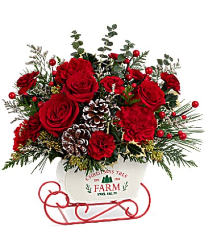 Snow What Fun Sleigh Keepsake