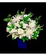 Snowball  White Sympathy Floral