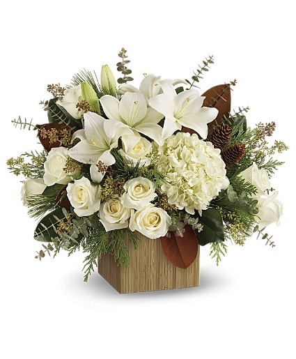 Snowfall Symphony Christmas/Winter