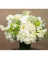 Snowflake  Compact modern 