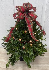 Snowman Surprise Boxwood Tree 