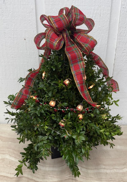 Snowman Surprise Boxwood Tree 