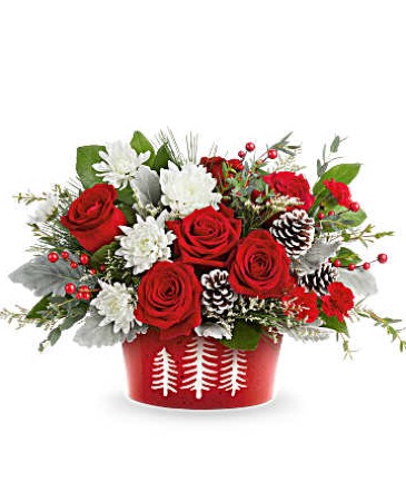 Snowy Pines Centerpiece(LIMITED) in Winnipeg, MB | CHARLESWOOD FLORISTS