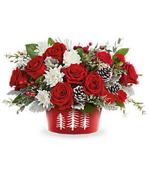 Snowy Pines Centerpiece  Fresh  Christmas mix