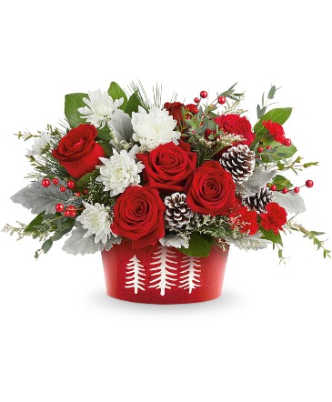 Snowy Pines T25X100 in Rossville, GA | Ensign The Florist