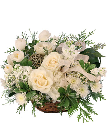 Snowy Spectacular Basket Arrangement in Burton, MI | FENNER'S FLORAL & DESIGN COMPANY Snowy Spectacular Basket Arrangement in Burton, MI | FENNER'S FLORAL & DESIGN COMPANY