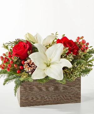 Snowy Wonderland  Christmas