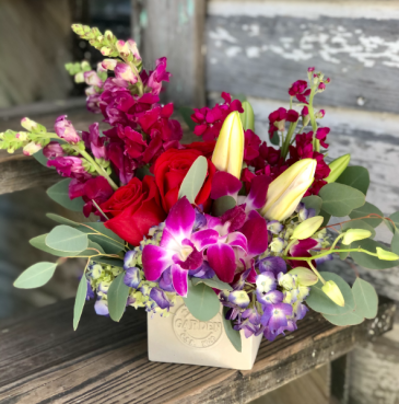 So In Love Cube Arrangements with Roses & Orchids in Key West, FL | Petals & Vines