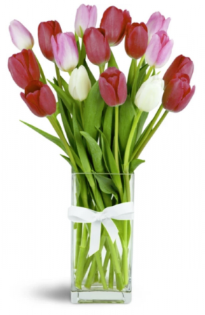 So Sweet anyday