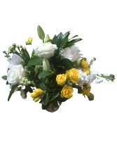 So Sweet Yellow & White Vase Arrangement, Classic Mixed Blooms
