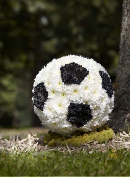 Soccer Ball personalized flowers in Abbotsford, BC - BUCKETS FRESH FLOWER MARKET