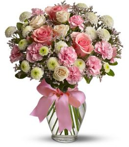 soft and light Roses