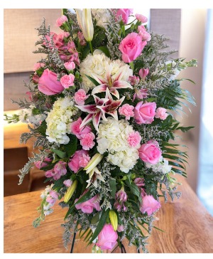 Soft and Tender Standing Sympathy