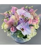 Soft blooms Modern compact