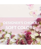 Soft Colors Designers Choice