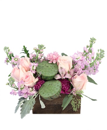 Soft Comforts Floral Arrangement  in Mcallen, TX | Floral & Craft Expressions