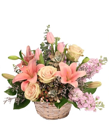 Soft Embrace Basket Arrangement in Orleans, ON | 2412979 Ont. Inc. O-A SWEETHEART ROSE