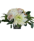Soft expression  Vase arrangement