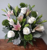 Soft love Fresh