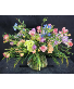 Soft Pastels Designers Choice