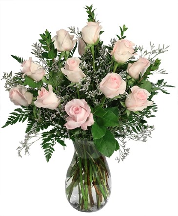 Soft Pink Dozen Rose Arrangement in Houston, TX | VILLAGE GREENERY & FLOWERS