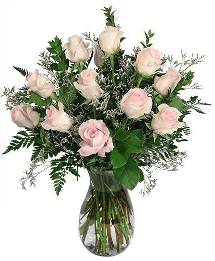 Lovely Pink & White Rose, Roses in the vase