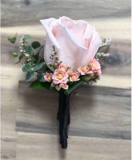 Soft pink rose with black accent 