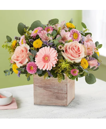 Soft Pink Sentiment Spring Arrangement in Spring, TX | Spring Trails Florist