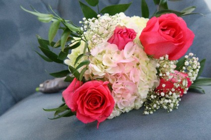 Soft Rose